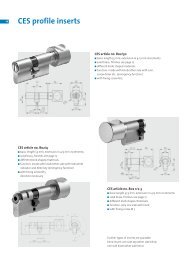 CES profile inserts