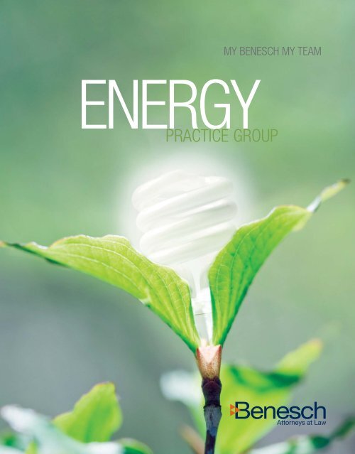 Energy Group Brochure - Benesch