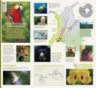 COLOMBIA'S LIVING LANDSCAPE - WWF UK