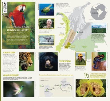 COLOMBIA'S LIVING LANDSCAPE - WWF UK