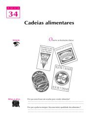 13. Cadeias alimentares - faunativa