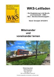WKS-Leitfaden Eibe - Wilhelm-Knapp-Schule Weilburg