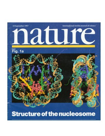 Structure of the Nucleosome