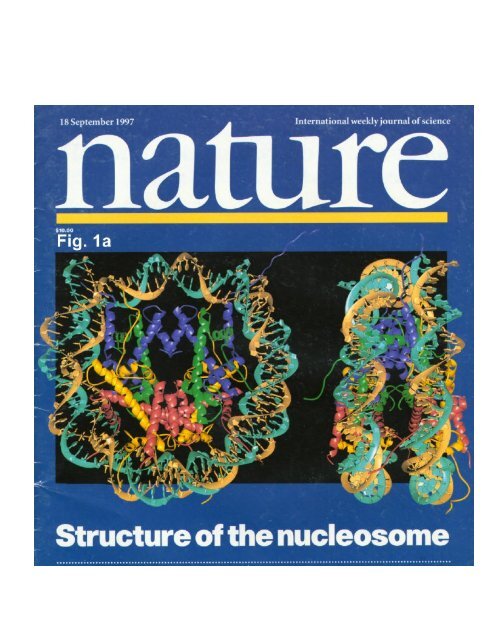 structure of the nucleosome