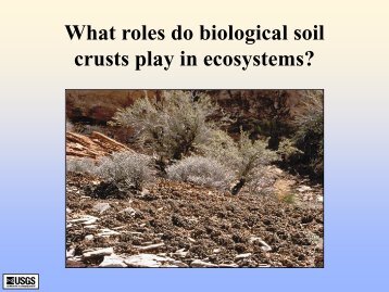 Ecological Roles of Biological Soil Crusts--powerpoint