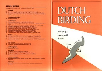 1984-2 - Dutch Birding
