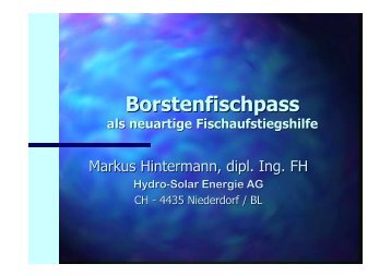 Borstenfischpass - HYDRO-SOLAR Engineering AG