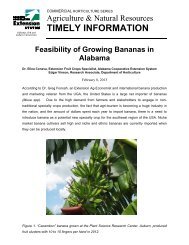 TIS - Feasibility of Growing Bananas in AL (2).pdf - Alabama ...