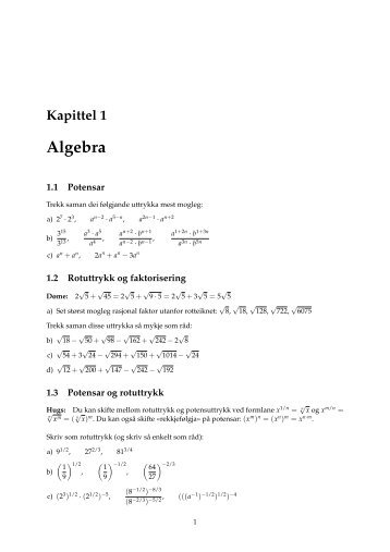 Kapittel 1 Algebra