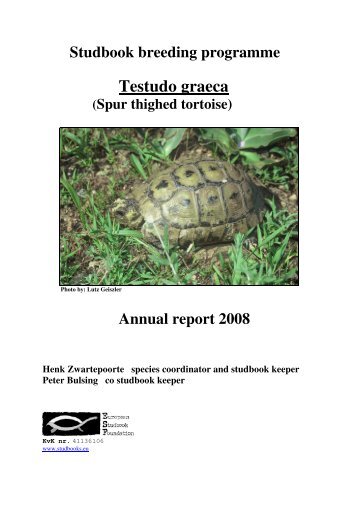 Testudo graeca - European Studbook Foundation