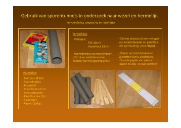 Gebruik van sporentunnels in onderzoek naar wezel en hermelijn