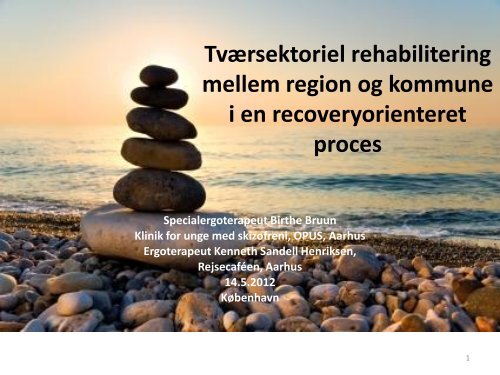 Kenneth Sandell Henriksen - Region Hovedstadens Psykiatri