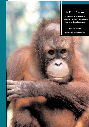 In full swing: assessment of trade in orang-utans and ... - WWF UK