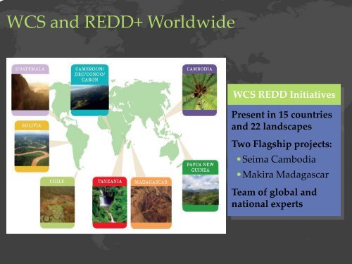 Projecting Future Unplanned Deforestation for a REDD Feasibility ...