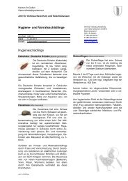 LMI013 Hygiene- und VorratsschÃ¤dlinge (63 kB, PDF) - Amt fÃ¼r ...