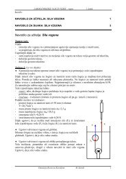 acrobat pdf - fizika