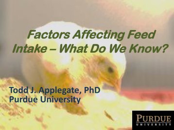 Factors Affecting Feed Intake - The Poultry Federation