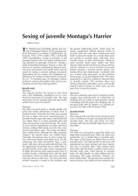 Sexing of juvenile Montagu's Harrier T - Dutch Birding