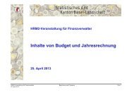 Inhalte von Budget und Jahresrechnung (pdf) - Statistik Baselland