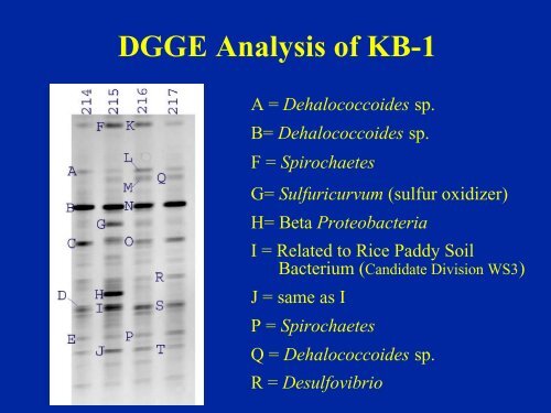 Bioaugmentation With KB-1â¢ for In Situ Treatment of Chlorinated ...