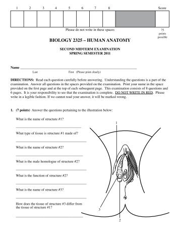 Sample Exam 2 - Biology Courses Server