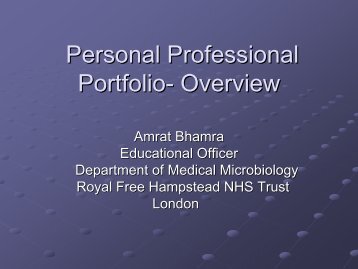 Personal Professional Portfolio- Overview