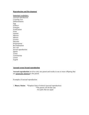 sexual vocabulary short bus lick windows