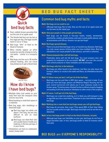 Quick bed bug facts How do I know I have bed bugs? - Social Services