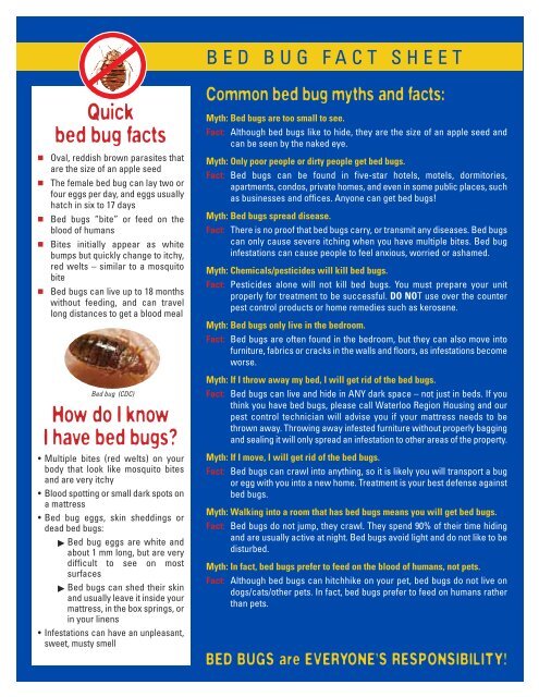 facts about bed bugs