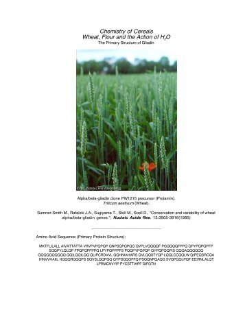 âThe Chemistry of Cerealsâ and âWheat, Flour and the Action of Waterâ