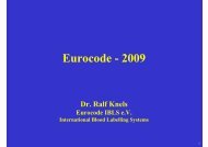 Eurocode - DGTI