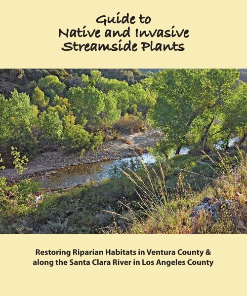Guide to Native and Invasive Streamside Plants - County of Ventura