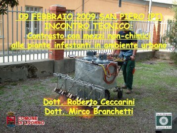 Roberto Ceccarini e Mirco Branchetti, Comune di Livorno