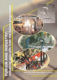 Fusion and Industry - ENEA - Fusione