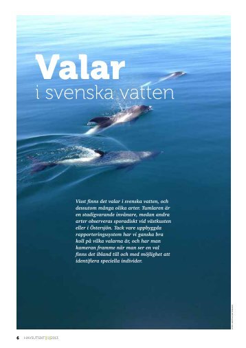 i svenska vatten - Havet.nu