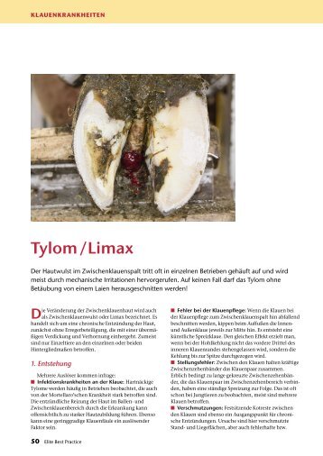 Tylom/Limax - Elite