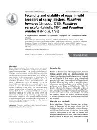 Fecundity and viability of eggs in wild breeders of spiny lobsters ...