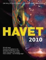 SÃ¥ mÃ¥r havet 2010 (PDF) - Havet.nu