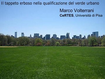 Il tappeto erboso nella qualificazione del verde urbano