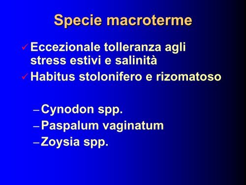 Il tappeto erboso nella qualificazione del verde urbano