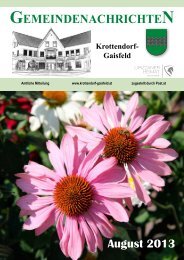 Gemeindezeitung August 2013 - Gemeinde Krottendorf-Gaisfeld