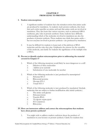 CHAPTER 17 FROM GENE TO PROTEIN I. Student misconceptions ...