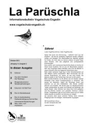 ParÃ¼schla 3 - Vogelschutz Engadin