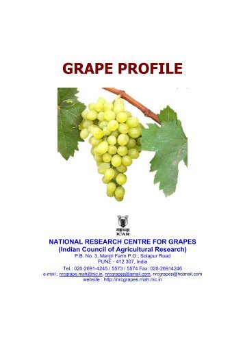 download Grape Profile - National Research Centre for Grapes
