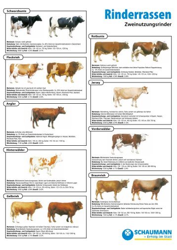 Download (pdf | 154,33 KB) - Schaumann