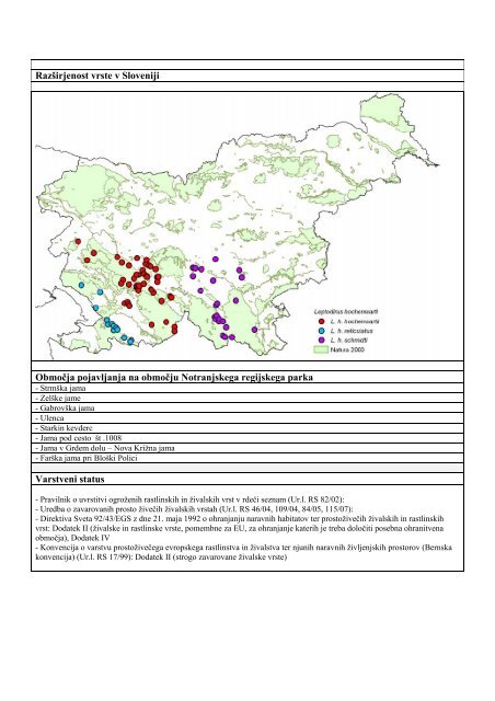 Črtasti medvedek - Presihajoče Cerkniško jezero