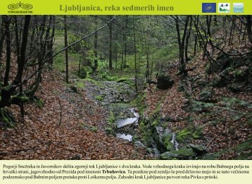 Ljubljanica, reka sedmerih imen - Presihajoče Cerkniško jezero