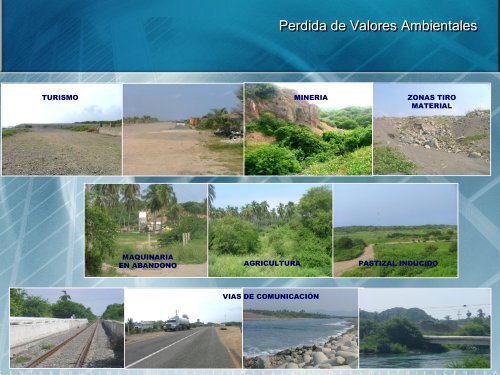 Perdida de Valores Ambientales - Gobierno del Estado de Colima