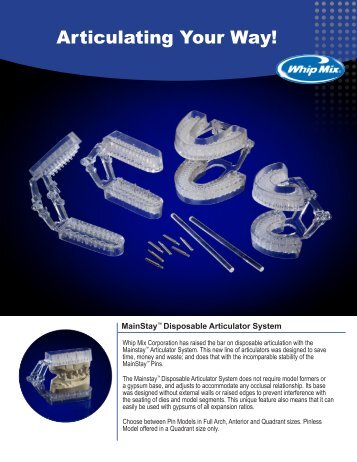 MainStay™ Disposable Articulator System Flyer - Whip Mix