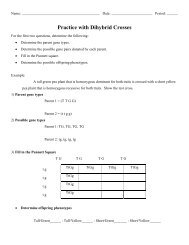 Worksheet Dihybrid Crosses Triton Science